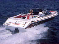 A PELA oil extractor used to change oil on a powerboat